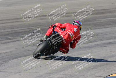 media/Feb-04-2024-SoCal Trackdays (Sun) [[91d6515b1d]]/4-Bowl Backside (11am)/